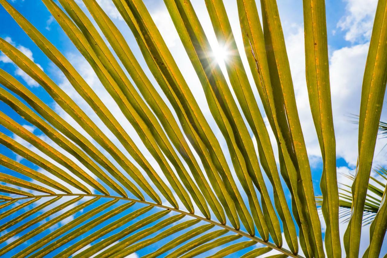 Beaches Bonaire クラレンダイク エクステリア 写真